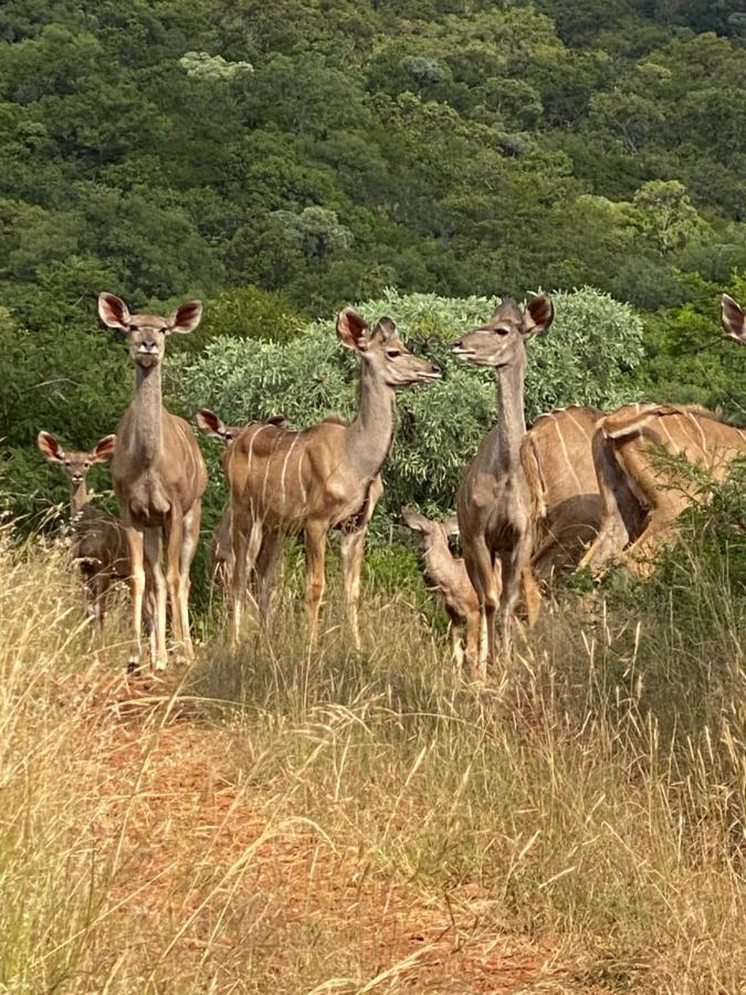 Ithaba Falls Guest Farm Farm L59, Buffelsvley, Burgersfort, 1150 Boerboomskraal Exterior foto