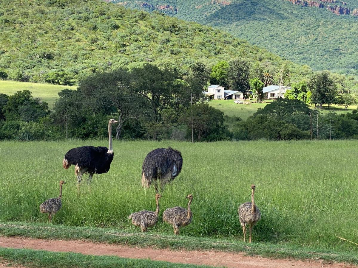 Ithaba Falls Guest Farm Farm L59, Buffelsvley, Burgersfort, 1150 Boerboomskraal Exterior foto